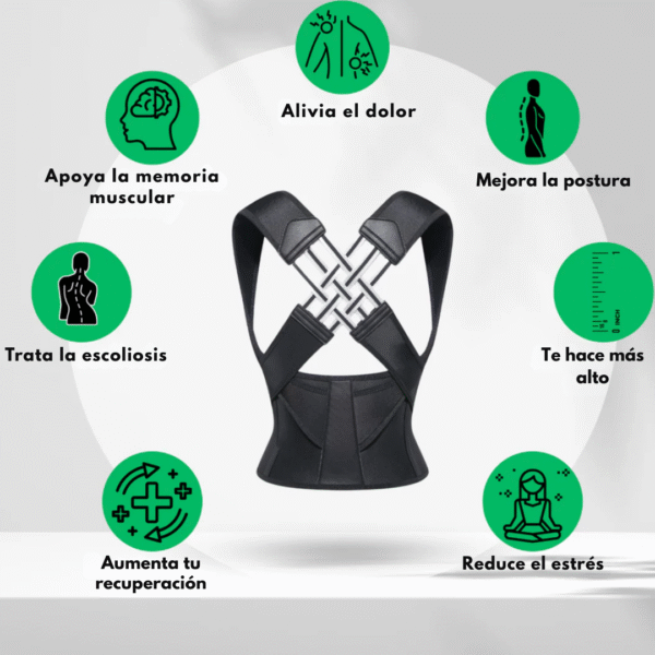 Aligna «Tu alineador de postura personal» - Imagen 2